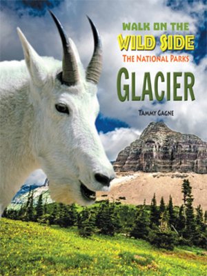 cover image of Glacier